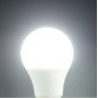 12 E27 Normal LED Bulb