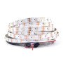 5M 300 LED  Strip Light Waterproof 5050 RGB SMD+Remote+IR Controller