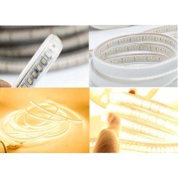 240V 10mm 3038 SMD LED Strip IP65 Waterproof Light Cool White Warm White Blue