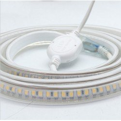 240V 10mm 3038 SMD LED Strip IP65 Waterproof Light Cool White Warm White Blue